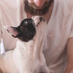 mieux comprendre son chien et éviter les morsures