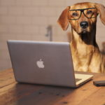 le cerveau canin : apprentissages, émotions et olfaction